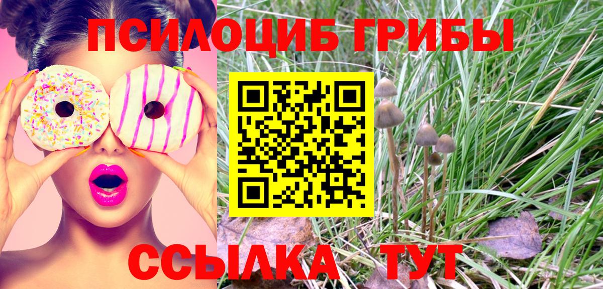 Галлюциногенные грибы ЛСД  Вход с VPN  Галлюциногенные грибы Psilocybe  Долгопрудный 